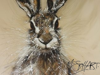 Burke the Hare Canvas Box Print