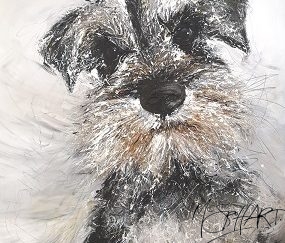 Miniature Schnauzer Print