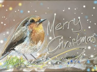 Robin Christmas Cards - Pack of 6