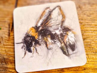 Coaster - Barbara Bee